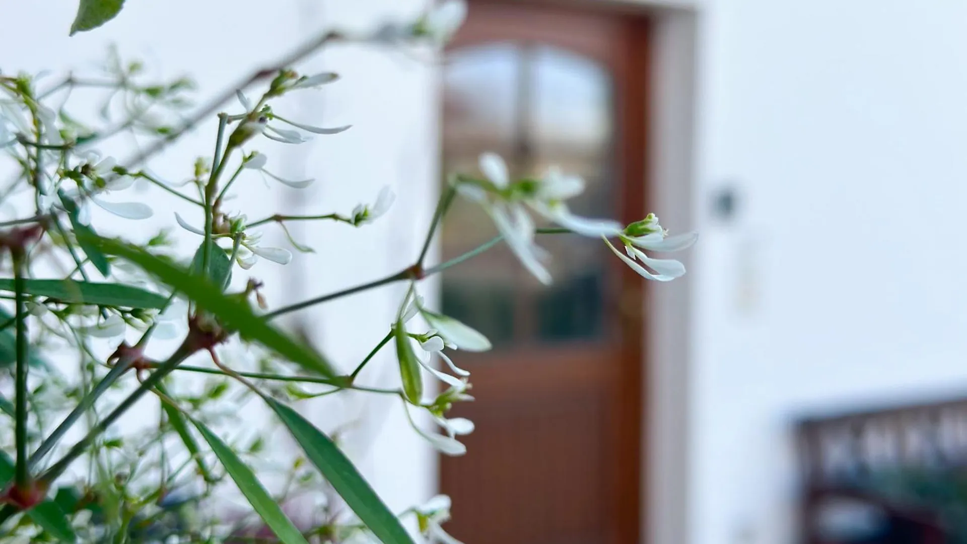 Apartmán Achentaler Alpentor Marquartstein